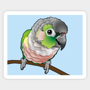 Super Cute Green Opal Yellow Side Conure Sticker